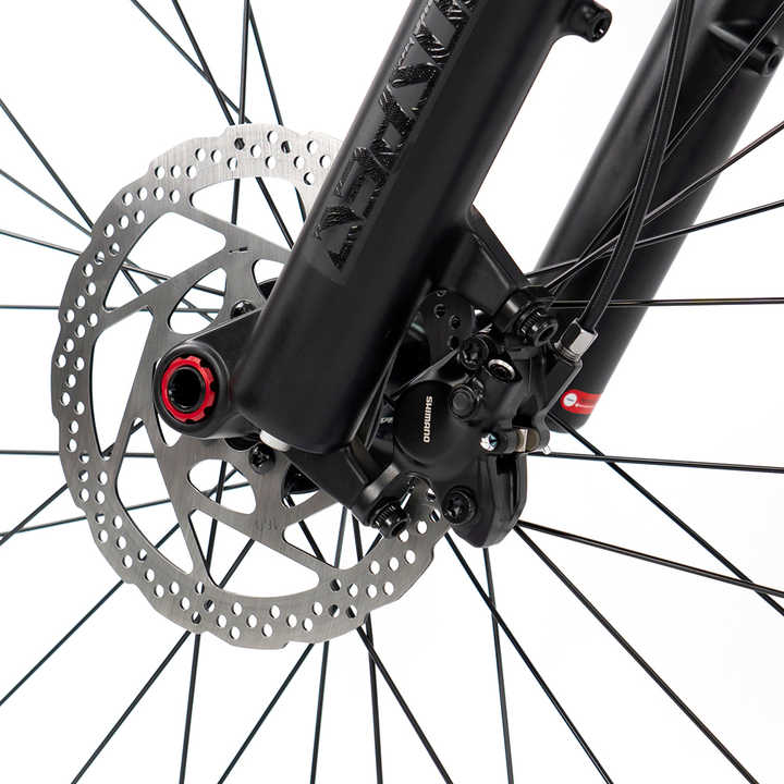 GTR (Dirt Jump Level) - Twitter Mountain Bike - Image 5