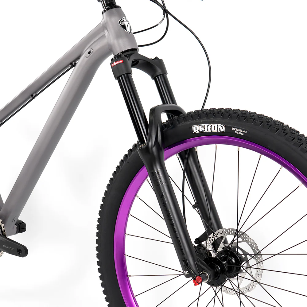 GTR (Dirt Jump Level) - Twitter Mountain Bike - Image 8