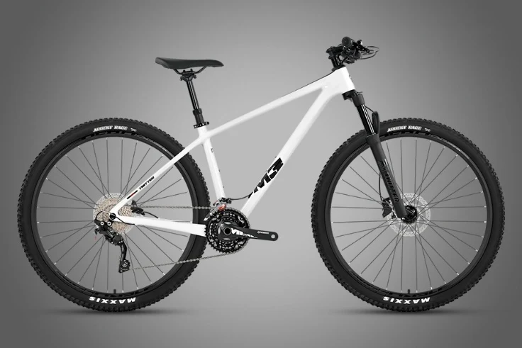 M3 (Boost) - Twitter Carbon Mountain Bike - Image 2